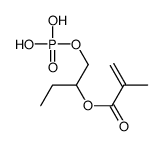 1-phosphonooxybutan-2-yl 2-methylprop-2-enoate Structure