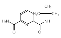 2,6-Pyridinedicarboxamide,N2-(1,1-dimethylethyl)- Structure