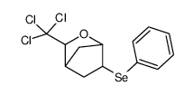 5-phenylselanyl-2-(trichloromethyl)-3-oxabicyclo[2.2.1]heptane Structure