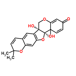 Hydroxytuberosone structure