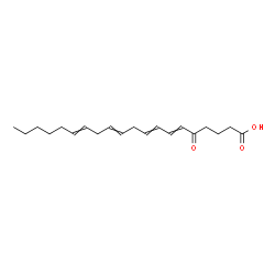 5-oxo-6,8,11,14-eicosatetraenoic acid Structure