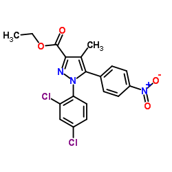 1-(2,4-Dichlorophenyl)-4-Methyl-5-(4-nitrophenyl)-1H-pyrazole-3-carboxylic Acid Ethyl Ester picture