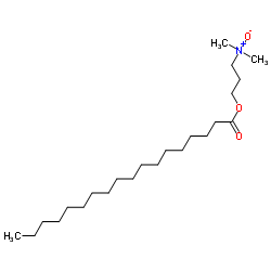 N-[3-(dimethylamino)propyl]stearamide N-oxide structure