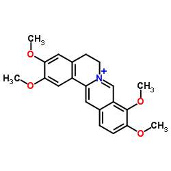 黄藤素图片