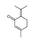 Piperitenone图片