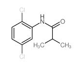 N-(2,5-dichlorophenyl)-2-methyl-propanamide Structure