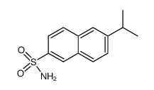 91957-55-0 structure