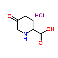 5-Oxopiperidine-2-carboxylic acid,hydrochloride Structure