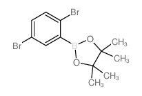 2,5-二溴苯硼酸频哪醇酯图片