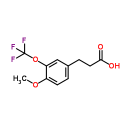 3-[4-Methoxy-3-(trifluoromethoxy)phenyl]propanoic acid图片