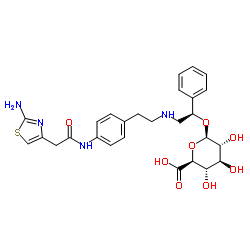 GR82L4OOM4 Structure
