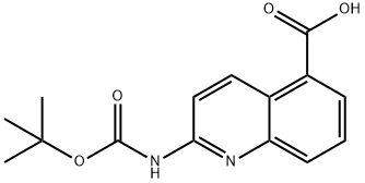 2-((tert-butoxycarbonyl)amino)quinoline-5-carboxylic acid Structure