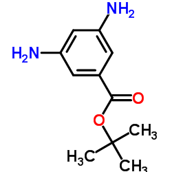 Benzoic acid, 3,5-diamino-, 1,1-dimethylethyl ester (9CI)结构式