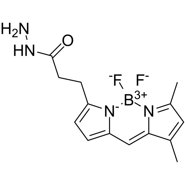BODIPY FL hydrazide结构式