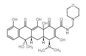 Morphocycline picture