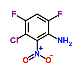 5-chloro-2-fluoro-6-nitroaniline Structure