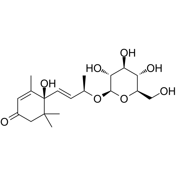 长寿花糖甙图片