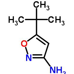 3-Amino-5-tert-butylisoxazole picture