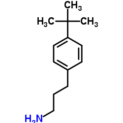 3-(4-tert-butylphenyl)propan-1-amine图片