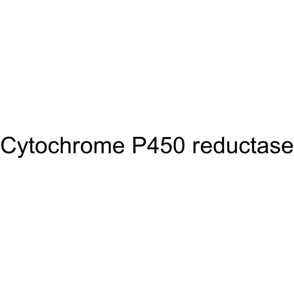 cytochrome p450 reductase Structure