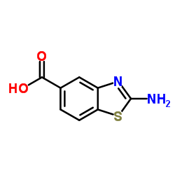 2-Aminobenzothiazole5-carboxylicacid picture