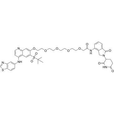 PROTAC RIPK degrader-6图片