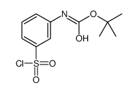 TERT-BUTYL [3-(CHLOROSULFONYL)PHENYL]CARBAMATE picture