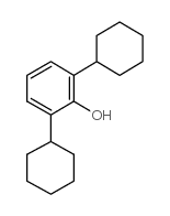 2.6-DICYCLOHEXYLPHENOL结构式