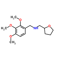 (TETRAHYDRO-FURAN-2-YLMETHYL)-(2,3,4-TRIMETHOXY-BENZYL)-AMINE picture