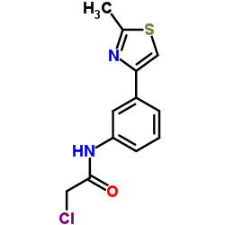 2-Chloro-N-[3-(2-methyl-1,3-thiazol-4-yl)phenyl]acetamide picture