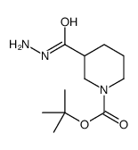 3-(肼羰基)哌啶-1-羧酸叔丁酯图片