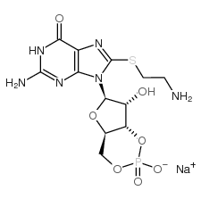 8-(2-aminoethylthio) guanosine-3',5'-cyclic monophosphate sodium salt picture