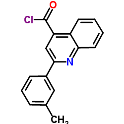 2-(3-Methylphenyl)-4-quinolinecarbonyl chloride picture