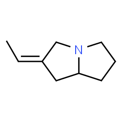 1H-Pyrrolizine,2-ethylidenehexahydro-(9CI) structure