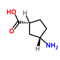 cis-3-Aminocyclopentanecarboxylic Acid picture