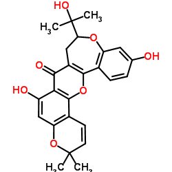 Neocyclomorusin picture
