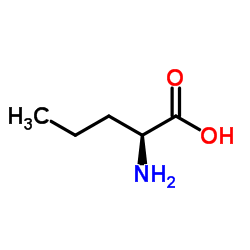 L-Norvaline Structure