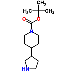 2-Methyl-2-propanyl 4-(3-pyrrolidinyl)-1-piperidinecarboxylate Structure