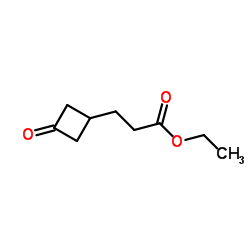 Ethyl 3-(3-oxocyclobutyl)propanoate Structure