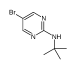 5-溴-2-叔丁基氨基嘧啶图片