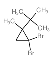 2-(2,2-dibromo-1-methyl-cyclopropyl)-2-methyl-propane picture