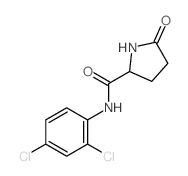 N-(2,4-dichlorophenyl)-5-oxo-pyrrolidine-2-carboxamide Structure