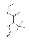 ethyl 3,3-dimethyl-5-oxooxolane-2-carboxylate结构式