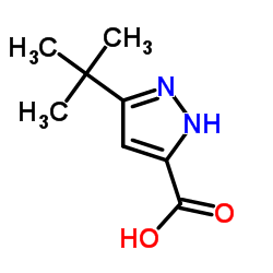 3-tert-butyl-1H-pyrazole-5-carboxylic acid结构式