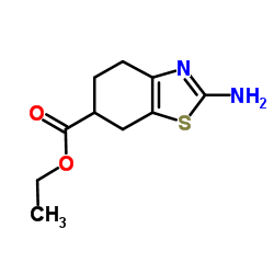 ETHYL 2-AMINO-4,5,6,7-TETRAHYDROBENZO[D]THIAZOLE-6-CARBOXYLATE picture