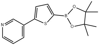 5-(3-Pyridyl)thiophene-2-boronic acid pinacol ester图片