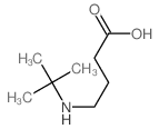 Butanoic acid,4-[(1,1-dimethylethyl)amino]- Structure