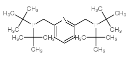 338800-13-8 structure