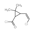 Cyclopropanecarbonyl chloride, 3-(2-chloroethenyl)-2,2-dimethyl- (9CI)结构式