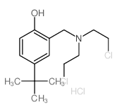 92725-09-2结构式